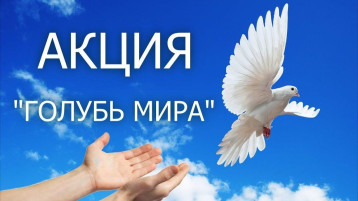 Акция "Голубь мира" Акция "Голубь мира".