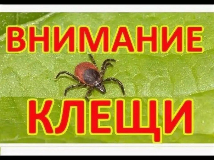 ОСТОРОЖНО! КЛЕЩИ! ПАМЯТКА ДЛЯ РОДИТЕЛЕЙ. ОСТОРОЖНО! КЛЕЩИ! ПАМЯТКА ДЛЯ РОДИТЕЛЕЙ.