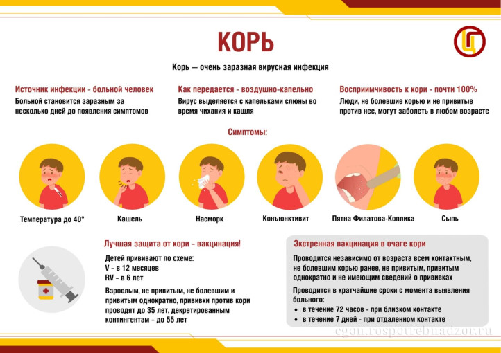 Внимание родители (законные представители). Осторожно - КОРЬ!!! Внимание родители (законные представители). Осторожно - КОРЬ!!!.
